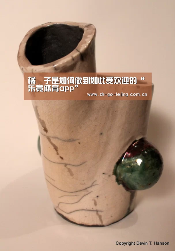 橘菓子是如何做到如此受欢迎的“乐竟体育app”(图4) 乐竟体育