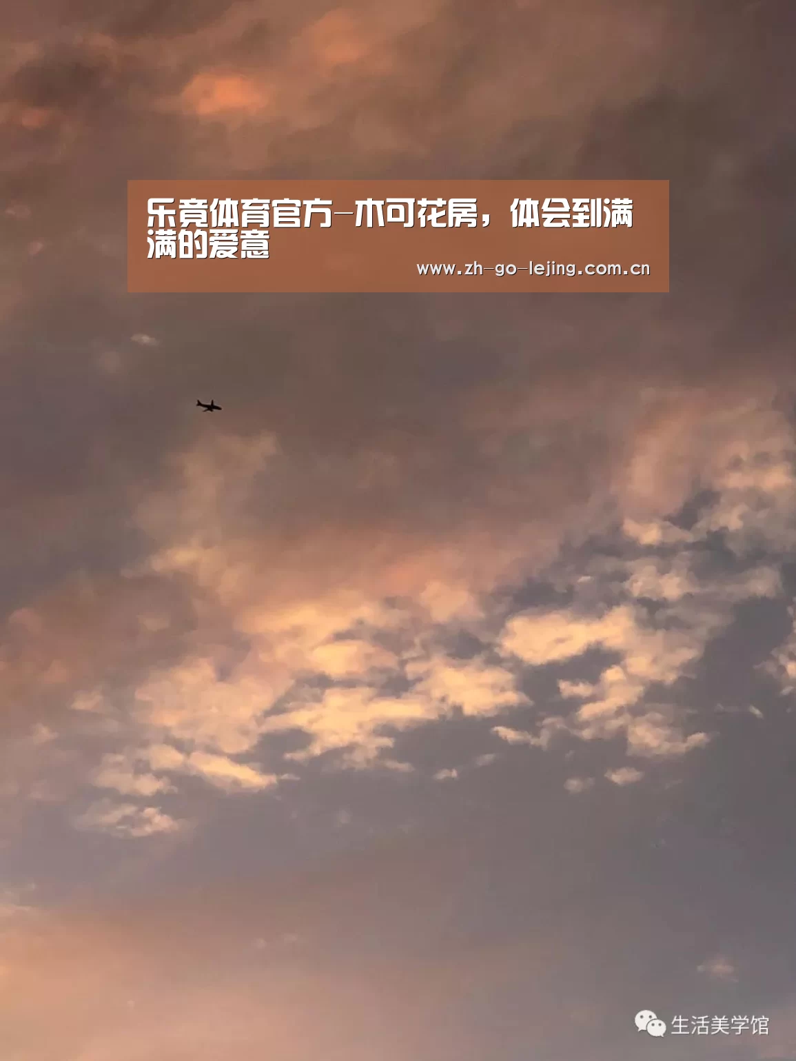 乐竟体育官方-木可花房,体会到满满的爱意(图1) 乐竟体育app