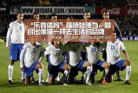“乐竟体育”猫师妹便当,融合出像猫一样去生活的品牌调性(图2) 乐竟app