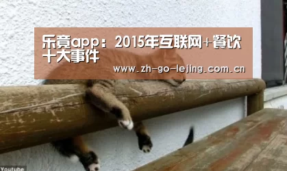 乐竟app:2015年互联网+餐饮十大事件(图2) 乐竟体育官方