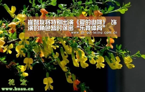 崔智友将特别出演《爱的迫降》 饰演的角色暂时保密“乐竟体育”(图3) 乐竟体育官方